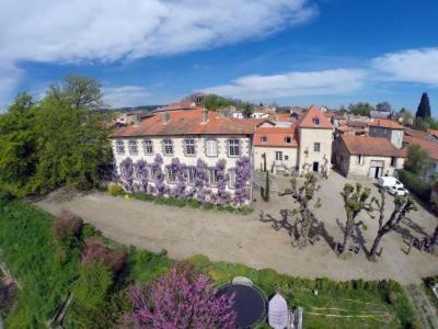 Manoir D'Aubeterre Hotel Marsat Eksteriør billede
